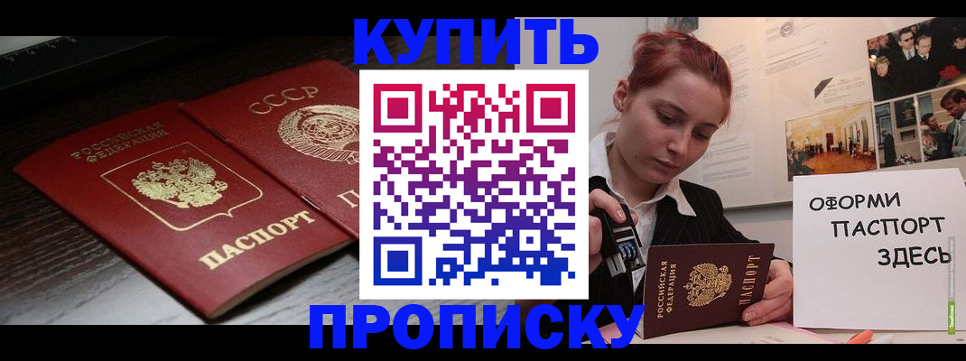 временная регистрация надежно в Курске